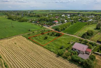 FRUMUSANI - POSTAVARI, TEREN 1500 MP, FRONT 30 M ! FRUMUSANI - POSTAVARI, TEREN 1500 MP, FRONT 30 M ! - 6