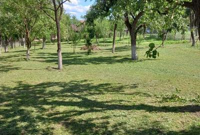 Casa de vinzare, Ciglean, Salaj - 2