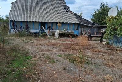 Casă cu Teren 3178 Mp în Lungani - 2