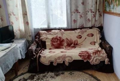 Casă cu Teren 3500 Mp în Vișeu de Jos - 4