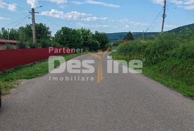Casă individuală cu 4 camere cu Teren 4800 Mp în Crețești - 4