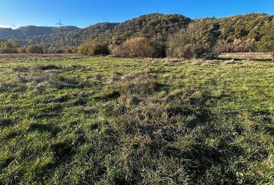 Teren Construcții intravilan de 2754 mp, în Exterior Vest - 6