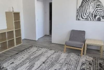 Apartament cu 2 camere semidecomandat în Domenii - 6