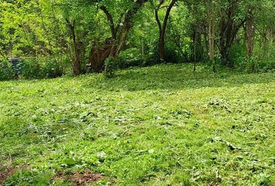 Casă cu 4 camere cu Teren 2000 Mp în Gura Văii - 1