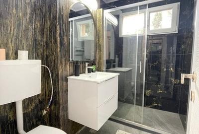 INCHIRIERE-APARTAMENT 2 CAMERE-PODU ROS - 10