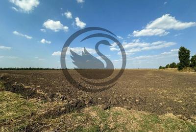 Teren extravilan de vanzare | 9882mp | Berceni - Prahova | Comision 0% - 5