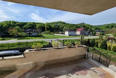 Casă individuală cu 5 camere cu Teren 1634 Mp în Gurișoara - 9