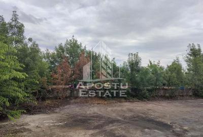 Teren 8000 mp cu hala de 700 mp - 2