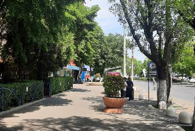Piata Sudului Berceni Nitu Vasile - 7