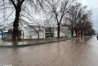 Spațiu comercial, de 990 mp, în Tătărași