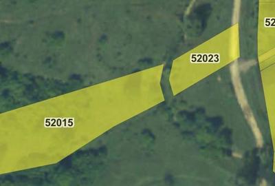 Teren de 3661 mp, în Vizantea Mănăstirească - 5
