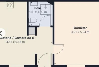 Apartament cu 2 camere decomandat în Ultracentral - 3