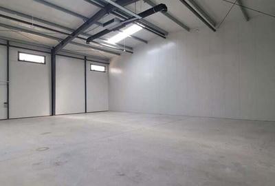 Spatiu de depozitare si productie Mogosoaia - 10