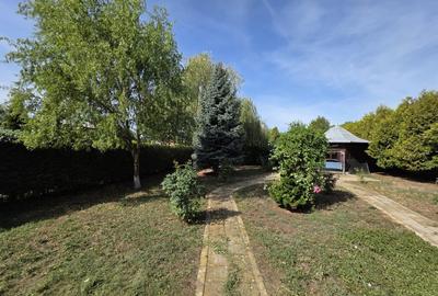 Casa 127 mp + teren 1800 mp, foisor si iaz - Dragasani - 17