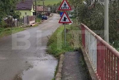 Teren de 7000 mp, în Budacu de Jos - 3