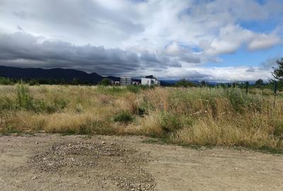 Teren intravilan, 6000mp, Ghimbav - 5