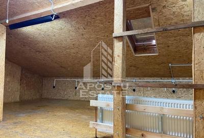 Casa +Spatiu comercial + apartament studio - 18