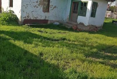 Vand Casa si Pamant in Cetate Dolj Strada tismana nr 40 - 10