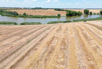 Teren la lac Frumusani - 14