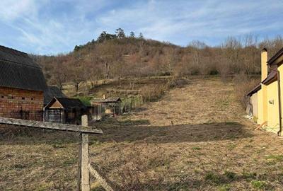 Spațiu comercial, în Tonciu - 3