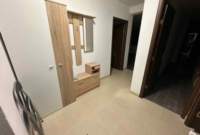 Apartament cu 2 camere decomandat în Criș - 10
