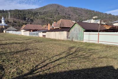 Teren Construcții intravilan de 1280 mp, în Stejaru (Pângărați) - 2