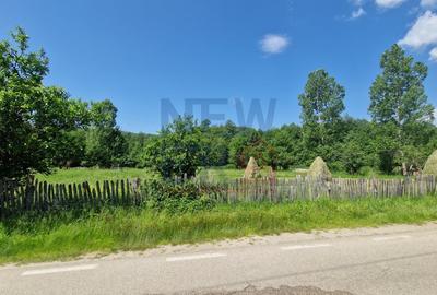 Teren Construcții intravilan de 2300 mp, în Arefu - 2