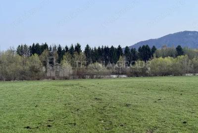 Teren intravilan, 7838 mp, cu priveli?te superba spre mun?i Zarne?ti - 5