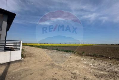 Teren Construcții intravilan de 545000 mp, în Dragomirești-Vale - 10