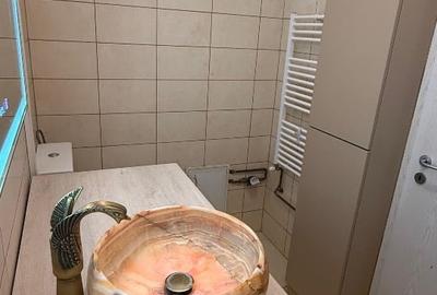 Garsonieră semidecomandată, mobilată în Podgoria - 11