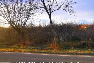 TEREN 4055 MP, DESCHIDERE 28 ML - 7