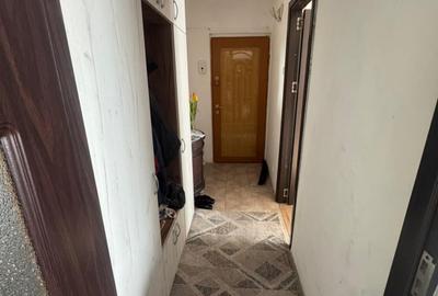 Apartament cu 2 camere semidecomandat în Prundu - 11