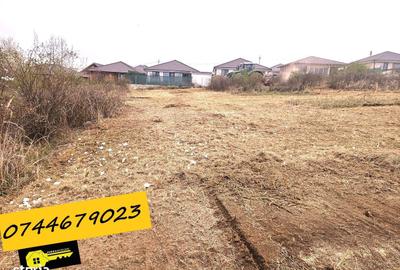 Spațiu comercial, în Paleu - 1