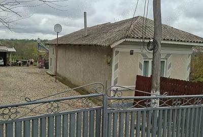 Casă cu 6 camere cu Teren 1900 Mp în Mihai Bravu - 4