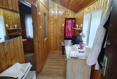 Casa de vanzare la munte! - 2