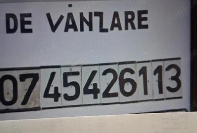 Casă cu Teren 3178 Mp în Lungani - 2