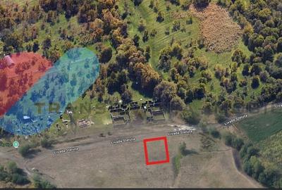 Teren Construcții extravilan de 900 mp, în Dâmbul Rotund - 2