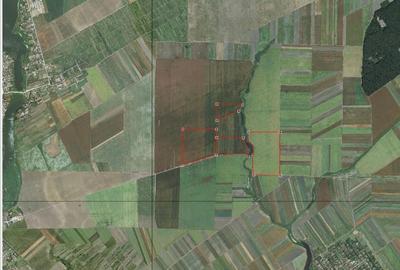 Pprietar vand 50 ha teren agricol langa Cernica, Fundeni, Jud Calarasi - 1