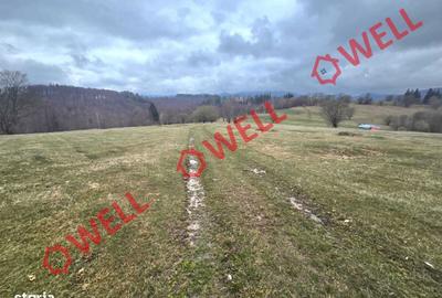 Teren de 2702 mp, în Vama Buzăului