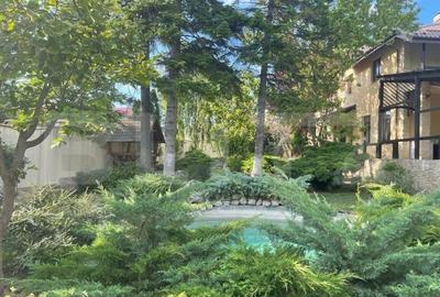 Casa 400 mp, teren 1164 mp, 3 niveluri, zona P-ta Chirila - 11