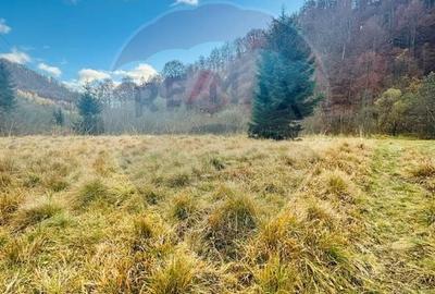 Teren Construcții intravilan de 4877 mp, în Mara - 5