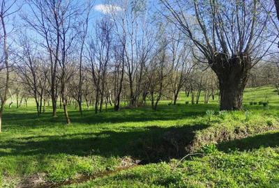 Teren de 1506 mp, în Drajna