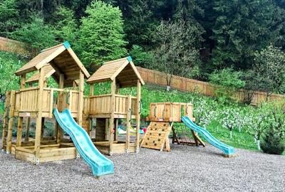 Vanzare domeniu deosebit, vila, anexe si teren cu livada de meri sub padure - 12