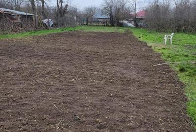 Casă cu 4 camere în Valea Bujorului - 5