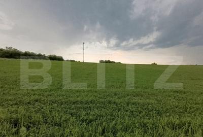 Casă cu 4 camere cu Teren 21500 Mp în Dej