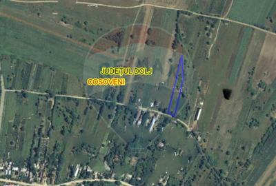 Teren Construcții intravilan de 1992 mp, în Coșoveni - 1