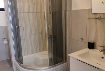 Vila individuala de închiriat Balotesti\Saftica - 3