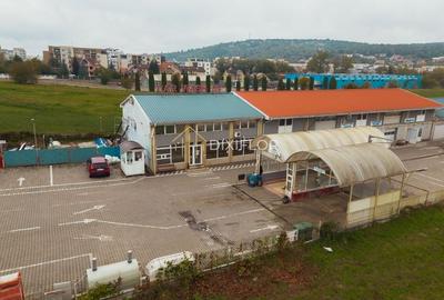 Hală multifuncțională | zona Shopping City - 4