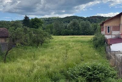 Teren Construcții intravilan de 3800 mp, în Provița de Sus - 27