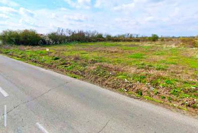 Spațiu comercial, în Buturugeni - 2